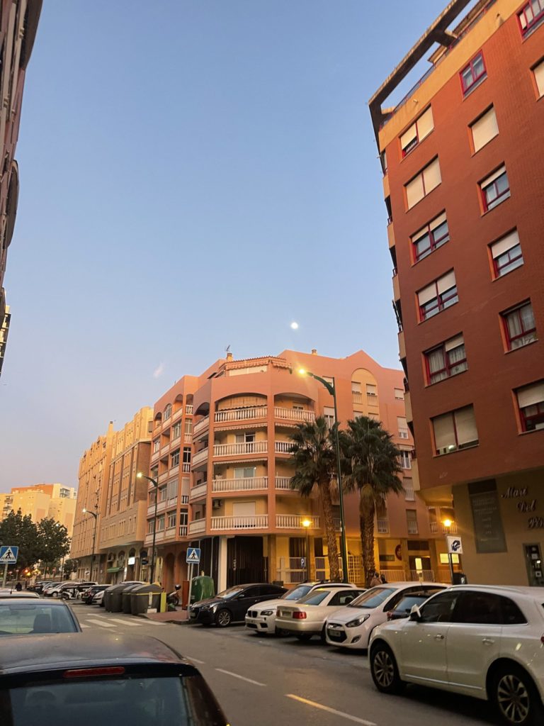 A picture of the street with palm trees and a sunset in the background.